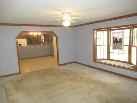2560 E Priscilla Ln, Crete, IL 60417 photo 8