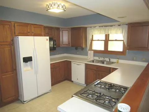 2560 E Priscilla Ln, Crete, IL 60417 photo 12