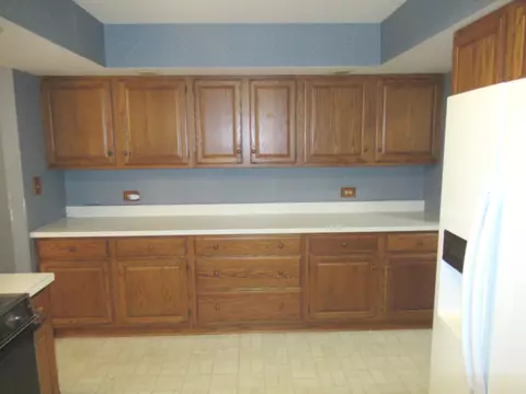 2560 E Priscilla Ln, Crete, IL 60417 photo 13