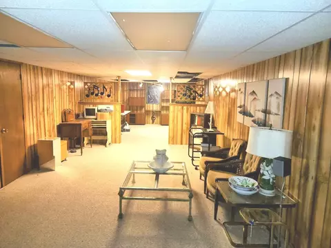 2560 E Priscilla Ln, Crete, IL 60417 photo 32
