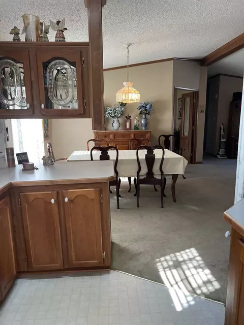 25731 Pinehurst Dr #164, Monee, IL 60449 photo 27
