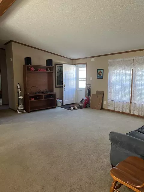 25731 Pinehurst Dr #164, Monee, IL 60449 photo 38