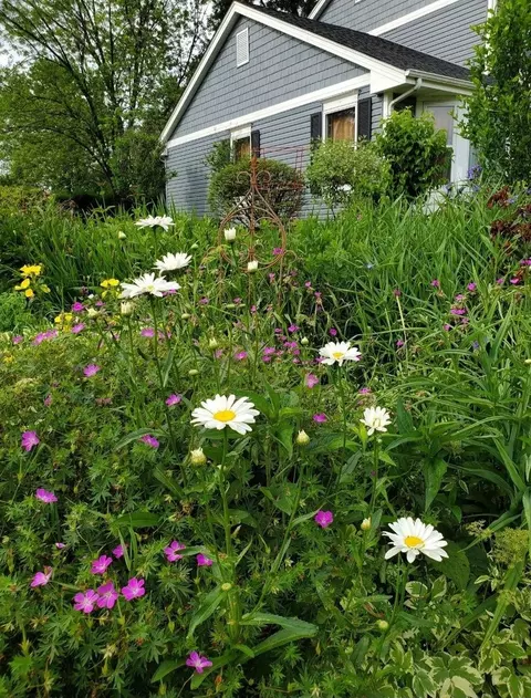 Other - 807 Tanglewood Dr, Wheeling, IL 60090 photo 11 of 12