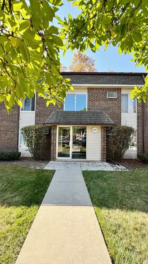 1077 Mill Creek Dr #201, Buffalo Grove, IL 60089
