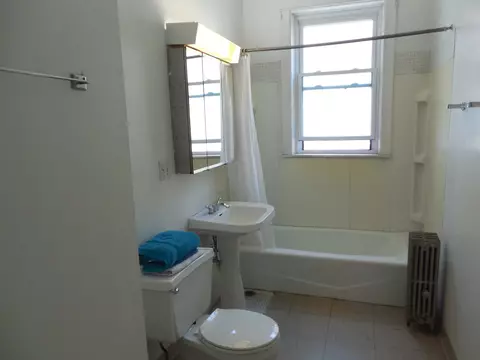 1231 E 53rd St #3E, Chicago, IL 60615 photo 15