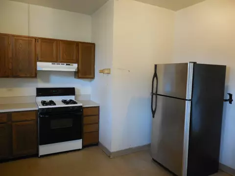 1231 E 53rd St #3E, Chicago, IL 60615 photo 8