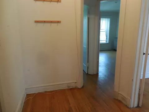 1231 E 53rd St #3E, Chicago, IL 60615 photo 17