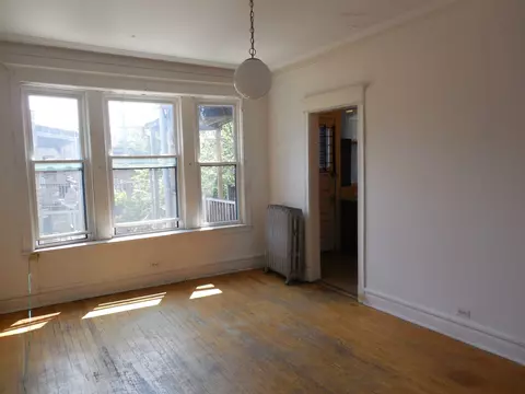 1231 E 53rd St #3E, Chicago, IL 60615 photo 6