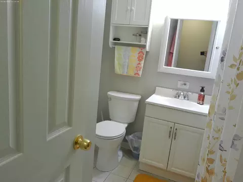 Bath - 277 Fletcher Dr, Wheeling, IL 60090 photo 1 of 3