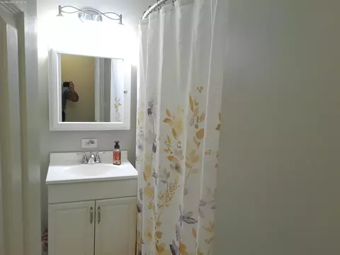 Bath - 277 Fletcher Dr, Wheeling, IL 60090 photo 2 of 3