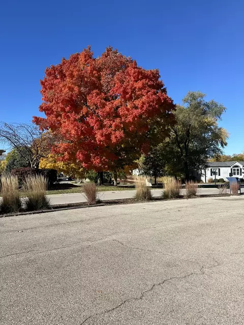 1161 Reba Ln, Elgin, IL 60123 photo 30