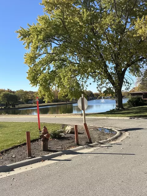 1161 Reba Ln, Elgin, IL 60123 photo 31
