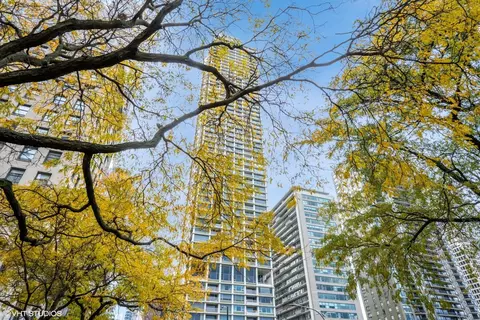 1000 N Lake Shore Plz #15A, Chicago, IL 60611