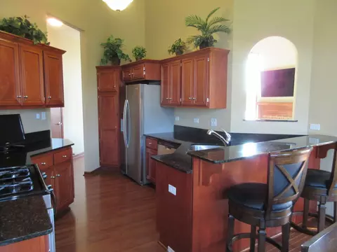 1144 Linden Cir, Beecher, IL 60401 photo 17