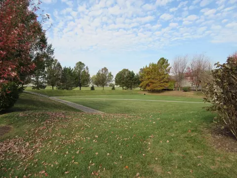1144 Linden Cir, Beecher, IL 60401 photo 48