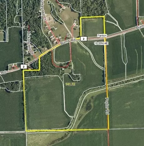 8265 Burns Rd, Fenton, IL 61251