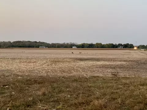 lot1 N Dresden Rd, Coal City, IL 60416