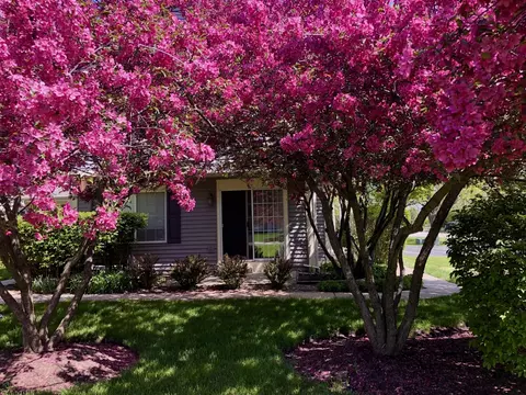 1200 Locust Dr, Sleepy Hollow, IL 60118 photo 10