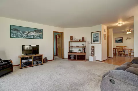 20829 W Peppertree Ct, Plainfield, IL 60544 photo 4