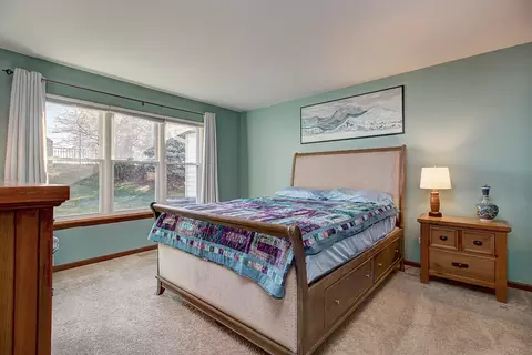 20829 W Peppertree Ct, Plainfield, IL 60544 photo 10