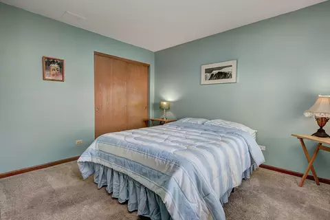 20829 W Peppertree Ct, Plainfield, IL 60544 photo 13