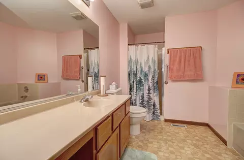 20829 W Peppertree Ct, Plainfield, IL 60544 photo 11