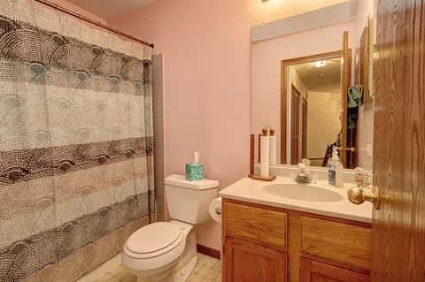 20829 W Peppertree Ct, Plainfield, IL 60544 photo 14