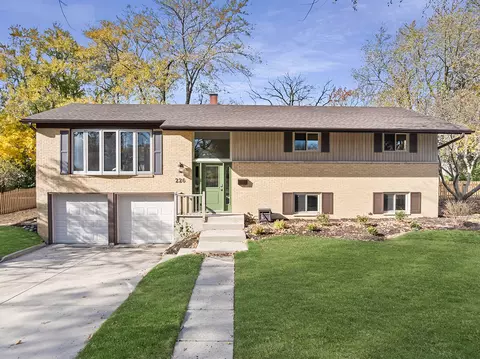 226 N Lytle Dr, Palatine, IL 60074