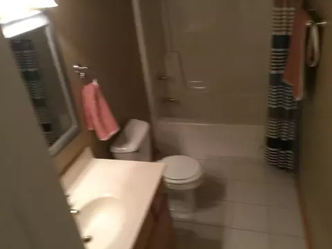 Bath - 1484 Timber Ridge Ct, Kankakee, IL 60901 photo 1 of 2