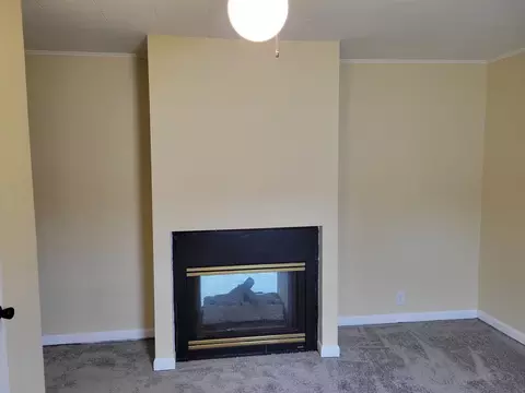 516 Thomas St, Minonk, IL 61760 photo 17
