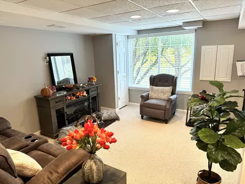 Living - 1205 Telluride Ct, Bartlett, IL 60103 photo 5 of 6
