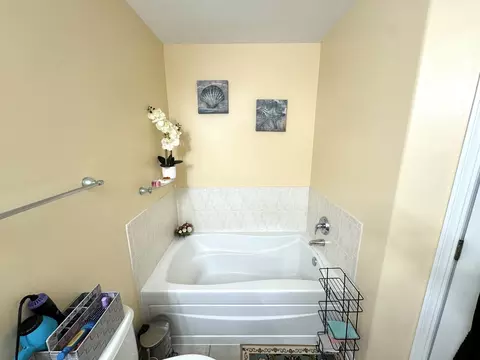 Bath - 1205 Telluride Ct, Bartlett, IL 60103 photo 2 of 4