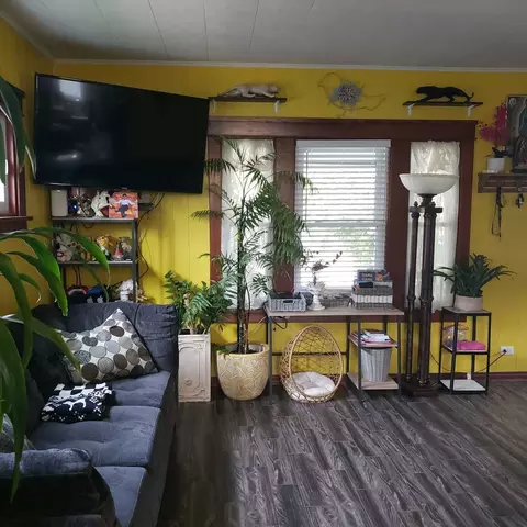 Living - 529 Simms St, Aurora, IL 60505 photo 2 of 3