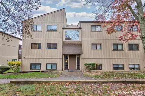 58 Vail Colony #2, Fox Lake, IL 60020