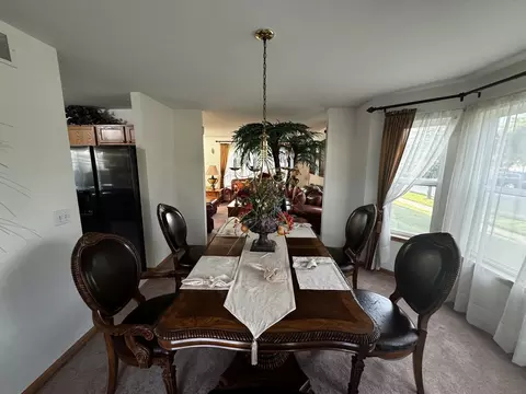 3112 Twin Falls Dr, Plainfield, IL 60586 photo 9