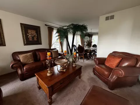3112 Twin Falls Dr, Plainfield, IL 60586 photo 16