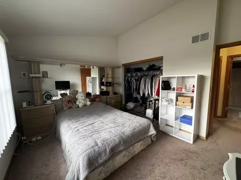 3112 Twin Falls Dr, Plainfield, IL 60586 photo 29