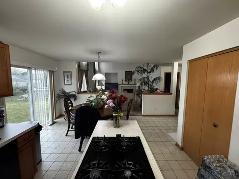3112 Twin Falls Dr, Plainfield, IL 60586 photo 11