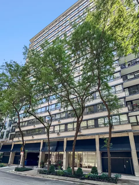 33 E Cedar St #15H, Chicago, IL 60611