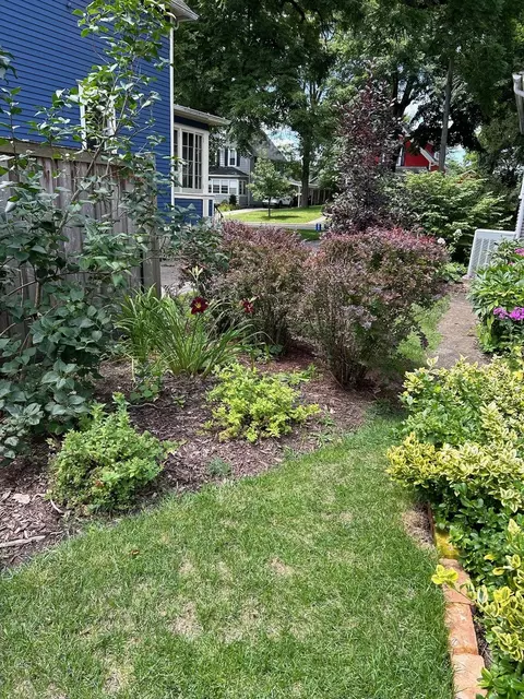 421 S 3rd St, West Dundee, IL 60118 photo 33