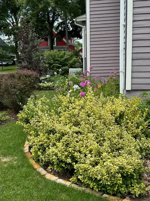421 S 3rd St, West Dundee, IL 60118 photo 31