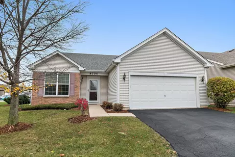 8705 Crowley Ct, Huntley, IL 60142