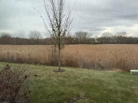 1209 Draper Rd, Mchenry, IL 60050 photo 16