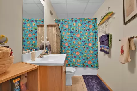 401 Mccoy Ct, Minooka, IL 60447 photo 40