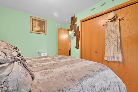 401 Mccoy Ct, Minooka, IL 60447 photo 22