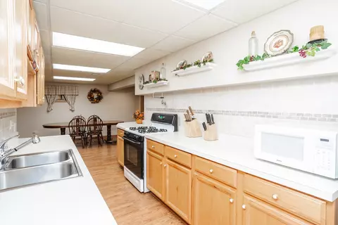 19508 Abbots Way, Mokena, IL 60448 photo 45