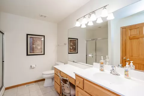 19508 Abbots Way, Mokena, IL 60448 photo 18