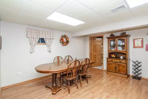 19508 Abbots Way, Mokena, IL 60448 photo 39