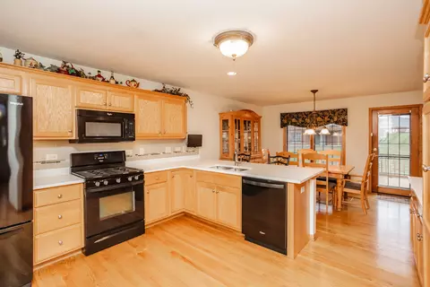 19508 Abbots Way, Mokena, IL 60448 photo 10