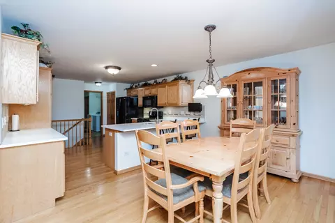 19508 Abbots Way, Mokena, IL 60448 photo 26